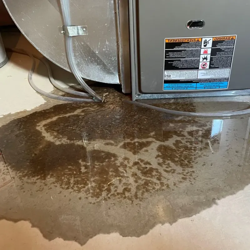 Pipe Burst and Leak Restoration in Allegany County, MD