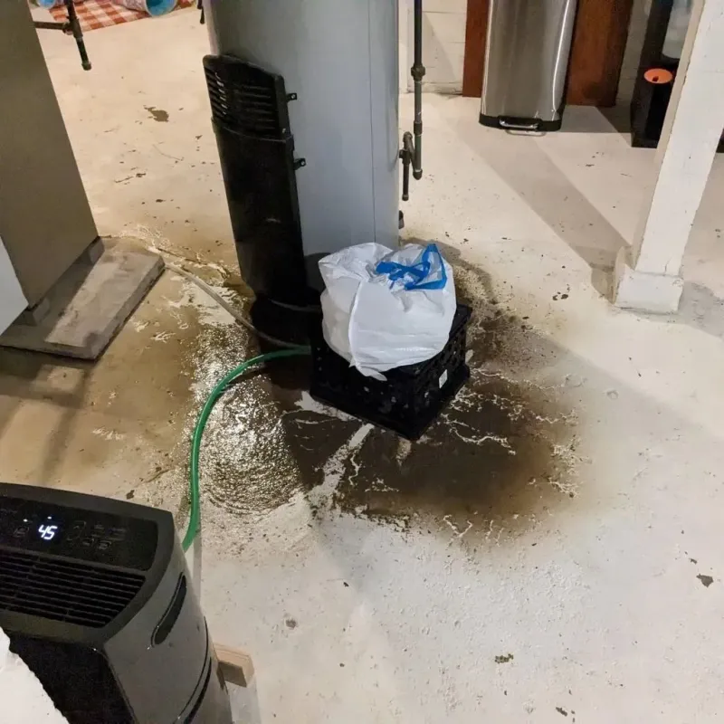 Sewage Backup Cleanup Service in Allegany County, MD